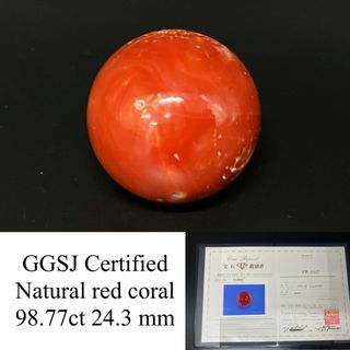 サンゴ  赤珊瑚  天然  98.77ct  宝石鑑別書付き  24.3㎜ ルース（ 裸石 ）  5559YY(その他)