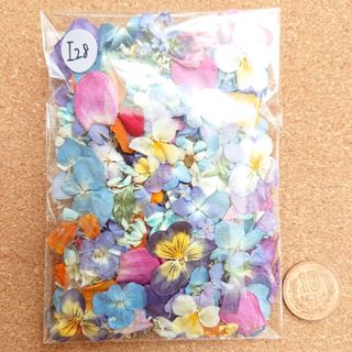 Ｉ28/訳ありドライフラワー押し花  花材  詰め合わせ(各種パーツ)