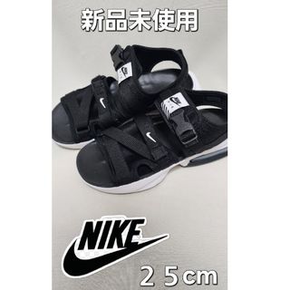 ナイキ(NIKE)の新品未使用　NIKE エアマックスソル　２５センチ(サンダル)
