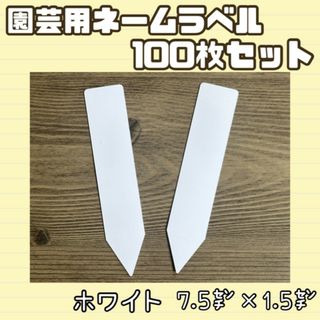 園芸用 ネーム ラベル 多肉 植物 白 100枚セット 7.5cm×1.5cm(その他)