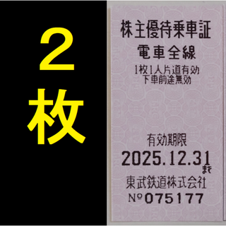 東武鉄道 株主優待乗車証 2枚 2025年12月期限 -a(鉄道乗車券)