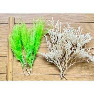 ドライ花材　緑色5本-白6本セット　ユニークな花材(その他)