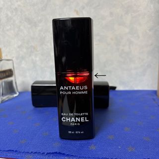 CHANEL - アンテウスオードトワレ 100ml残９割
