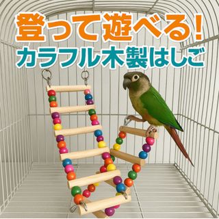 鳥用 木製 はしご 遊具 運動　カラフル　可愛い　ss108(鳥)