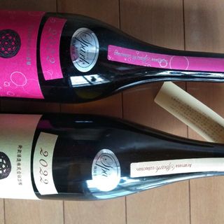 新政2本セット(日本酒)