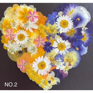 少量☆押し花素材☆花材フラワー