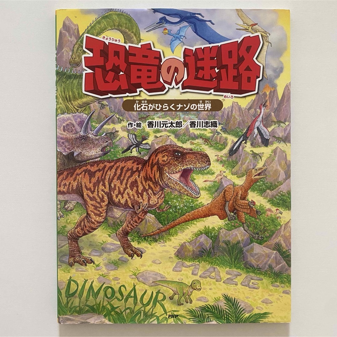 恐竜の迷路 化石がひらくナゾの世界 エンタメ/ホビーの本(絵本/児童書)の商品写真