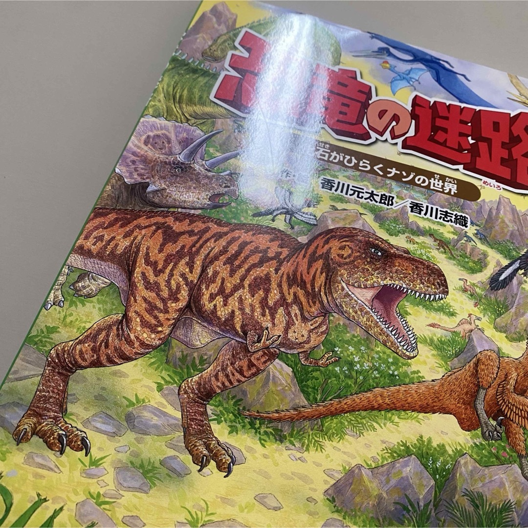 恐竜の迷路 化石がひらくナゾの世界 エンタメ/ホビーの本(絵本/児童書)の商品写真