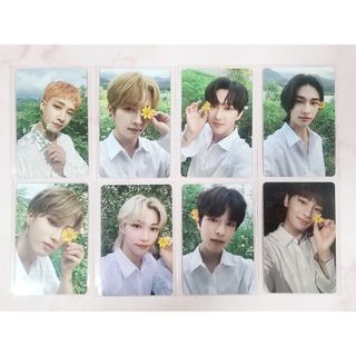 ストレイキッズ(Stray Kids)のStray Kids　NOEASY　トレカ　初回限定盤封入特典　コンプリート(アイドルグッズ)