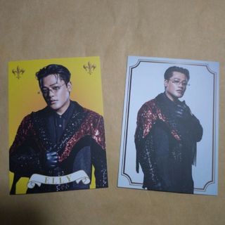 サンダイメジェイソウルブラザーズ(三代目 J Soul Brothers)のELLY　フォトカードセット(ミュージシャン)
