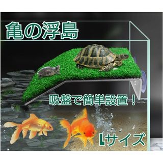 冷凍ひよこ 100羽 着払いの通販 by ふくろう用品など's shop｜ラクマ