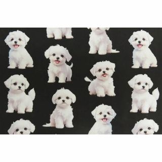 【ゆきちゃん限定】X1497-4 マルチーズ柄 黒系 コットン生地 1m(生地/糸)