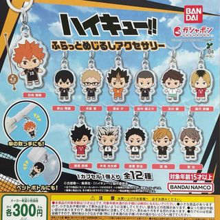 ハイキュー‼︎ ふらっとめじるしアクセサリー 全12種セット(キャラクターグッズ)