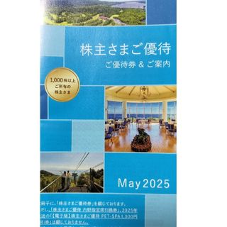 西武株主優待   冊子(共通割引券10枚等)(その他)