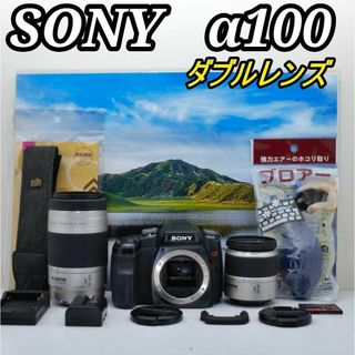 ソニー(SONY)の名機入門機 SONY α100❤️シンプル操作＆しっかり高画質の安心一眼レフ❤️(デジタル一眼)
