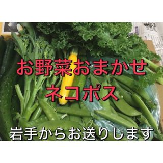 おまかせお野菜詰め合わせ　ネコポス(野菜)