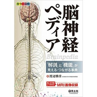 カラー図解 脳神経ペディア?「解剖」と「機能」が見える・つながる事典
