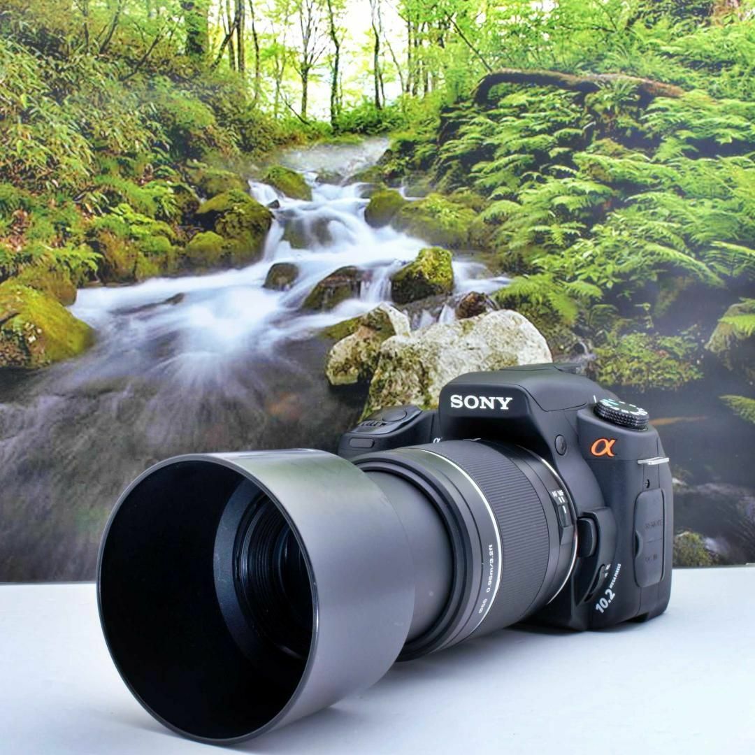 SONY - SONY α300❤️チルト液晶＆手ブレ補正付き❤️かんたん