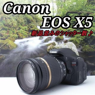 キヤノン(Canon)のシャッター数2692回❤️Canon X5 超望遠対応万能ズーム❤️(デジタル一眼)