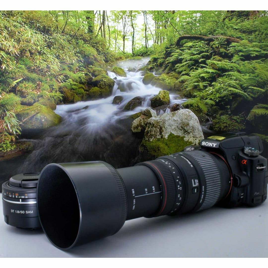 SONY α55❤️超望遠レンズ❤️ ソニー 一眼レフカメラ
