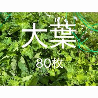  大葉  しそ シソ 薬味 青じそ 青ジソ ハーブ　野菜(野菜)