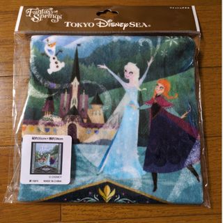 ディズニー(Disney)のディズニー・シー　アナ雪　ウォッシュタオル　ファンタジースプリングス　(キャラクターグッズ)