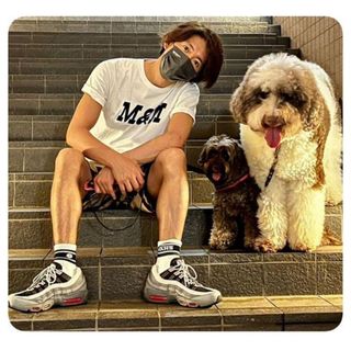 ナイキ(NIKE)のレア キムタク着用 NIKE AIR MAX 95 ES 26(スニーカー)