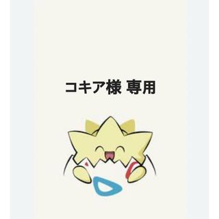 コキア様 専用(その他)