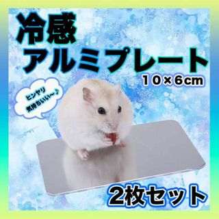 冷感アルミプレート 10×6cm　２個 小動物 熱中症対策 ハムスター ペット(小動物)