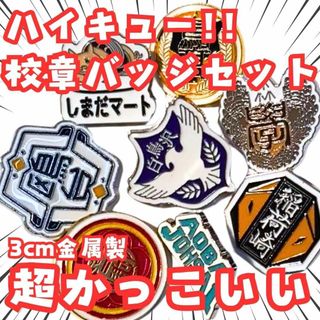 ハイキュー 校章 ピンバッジ バッジ セット グッズ 国内3cm【残5】(バッジ/ピンバッジ)