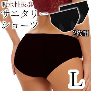 サニタリーショーツ 2枚組 L 吸水 ショーツ 下着 生理用品  mo32(ショーツ)