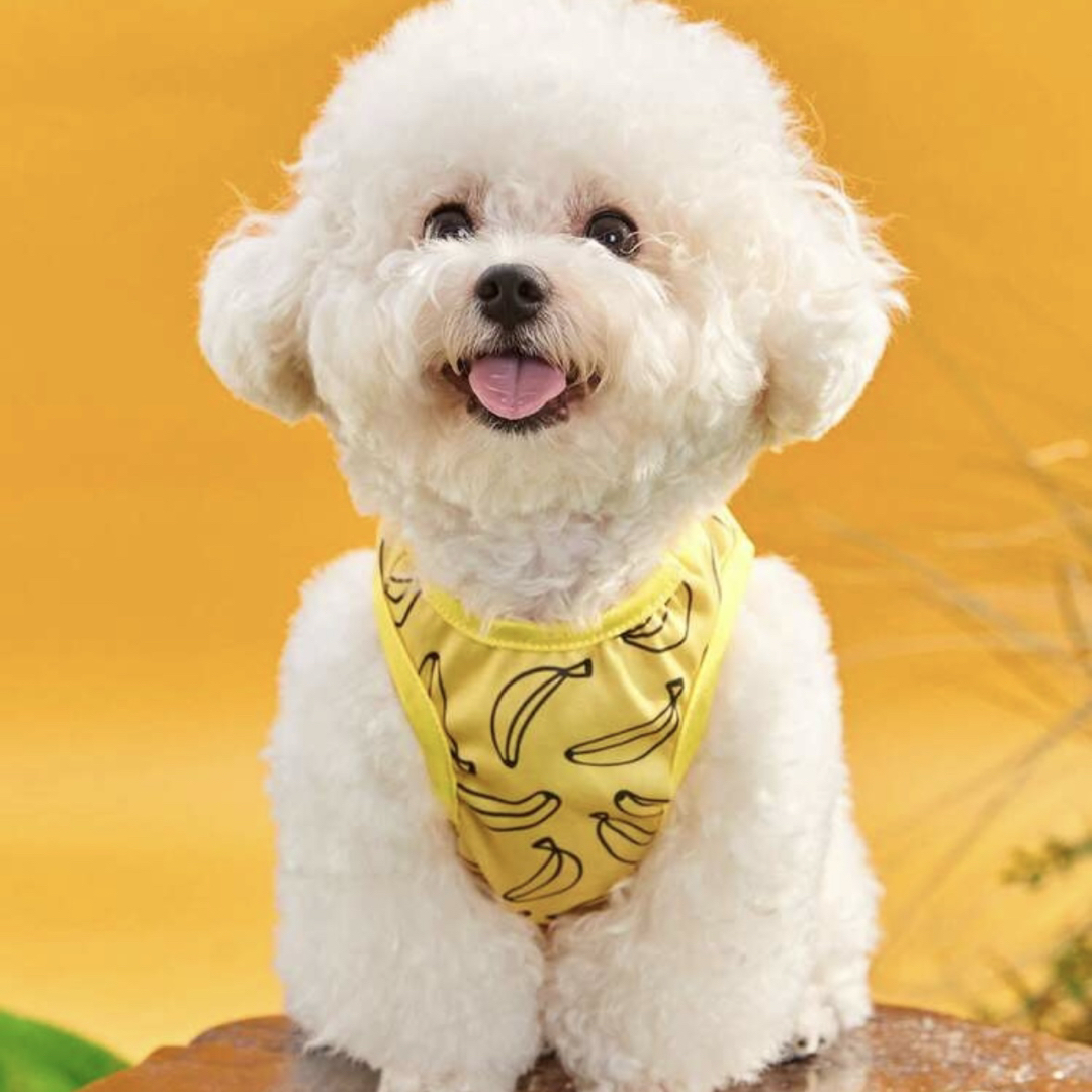 新品 S バナナ ベスト 犬服 犬の服 ペット服 ペット用品 タンクトップ その他のペット用品(犬)の商品写真
