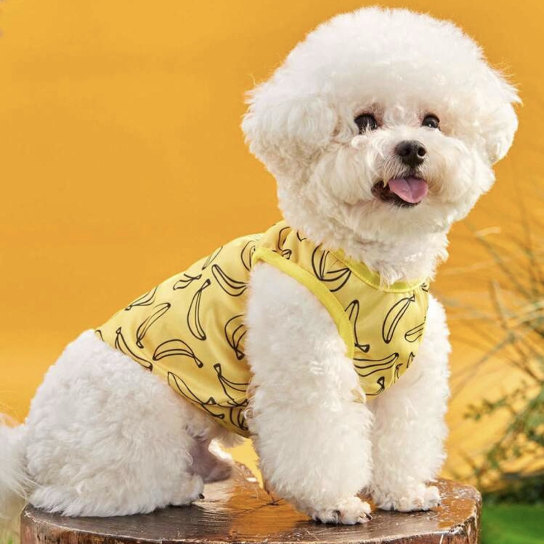 新品 S バナナ ベスト 犬服 犬の服 ペット服 ペット用品 タンクトップ その他のペット用品(犬)の商品写真