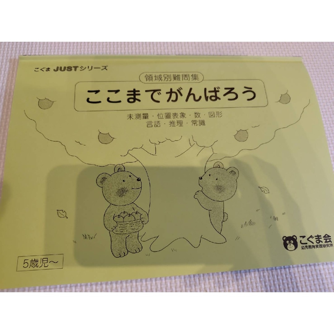 領域別問題集　未測量　位置表象　数　図形　言語　推理　常識　こぐま会こぐまJU エンタメ/ホビーの本(語学/参考書)の商品写真