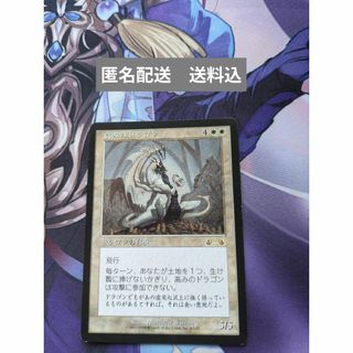 マジックザギャザリング(マジック：ザ・ギャザリング)のMTG　高みのドラゴン/Exalted Dragon[EXO]  日本語(シングルカード)