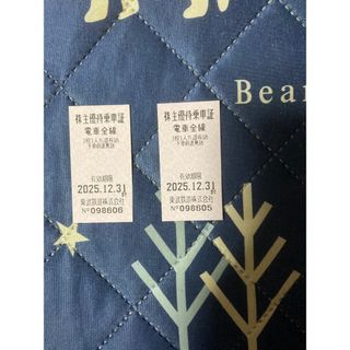 東武鉄道　株主優待乗車証　2枚(鉄道乗車券)