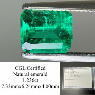 エメラルド  天然  1.236ct  中央宝石ソーティング付き  7.33㎜×6.24㎜×4.00㎜   天然 ルース（ 裸石 ） 5545YY(その他)