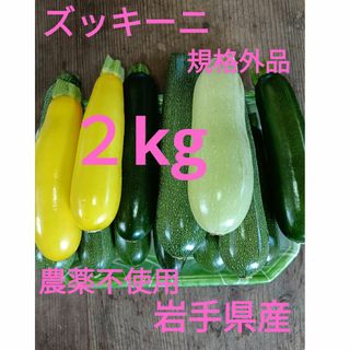 ズッキーニ　２kg　規格外品　農薬不使用　ミックス　岩手県産　(野菜)