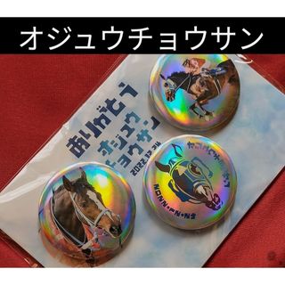 ①◆　競馬　JRA　◆　オジュウチョウサン　◆　引退記念　缶バッジセット　◆(その他)