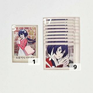 泉鏡花 文豪ストレイドッグス ぱしゃこれ 第二弾 5 17(カード)