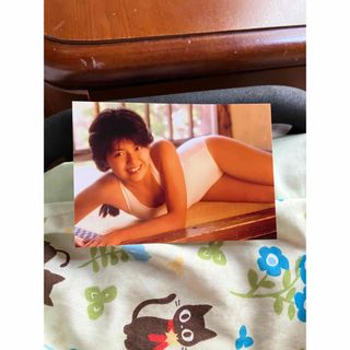 南野陽子さんの写真(女性タレント)