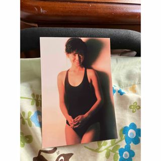 南野陽子さんの写真(女性タレント)