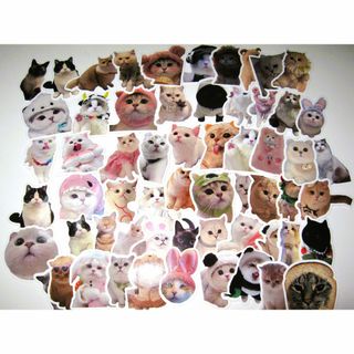【にゃんこ シール 60種類×2組 120枚】猫 ねこ ステッカー クラフト(その他)