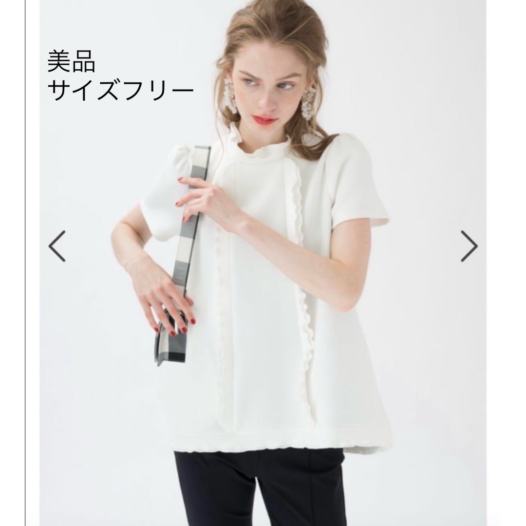 ♥️新品未使用 TSURU BY MARIKO OIKAWAチュールトップス 新品