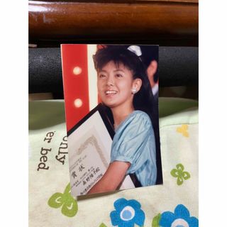 南野陽子さんの小さな写真(女性タレント)