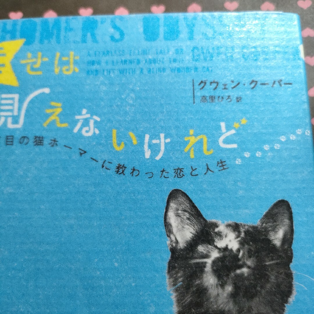 幸せは見えないけれど : 盲目の猫ホーマーに教わった恋と人生（図書館リサイクル） エンタメ/ホビーの本(文学/小説)の商品写真
