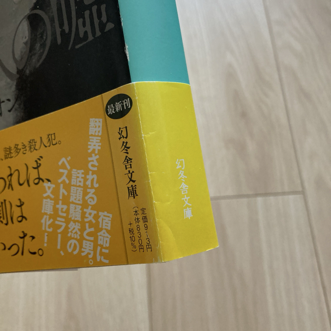 幻冬舎(ゲントウシャ)の本★二人の嘘 エンタメ/ホビーの本(文学/小説)の商品写真