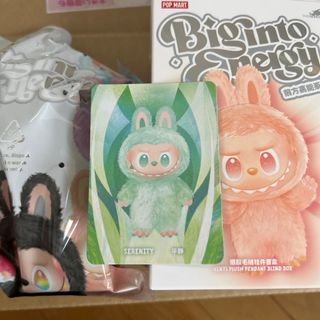 Labubu Big into Energy  SERENITYラブブ(ぬいぐるみ)