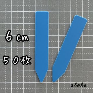 ブルー　50枚 多肉植物 アガベ サボテンに◎ 園芸用 ラベル ネームラベル(その他)