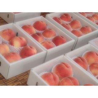 山梨の甘い桃　お手頃サイズを6個詰めて発送　料金据え置き　ももやのきよし(フルーツ)